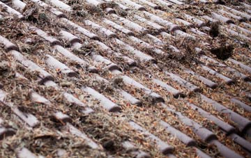 Newgrounds roof cleaning companies